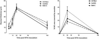 Resolution of otitis media in a humanized mouse model